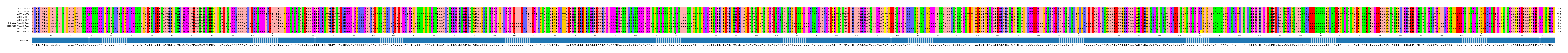 Multiple Alignments (by translate haplotype similarity)