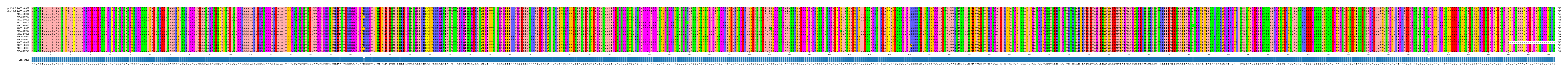 Multiple Alignments (by translate haplotype frequency)