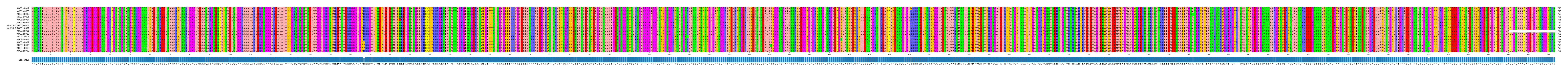 Multiple Alignments (by translate haplotype similarity)