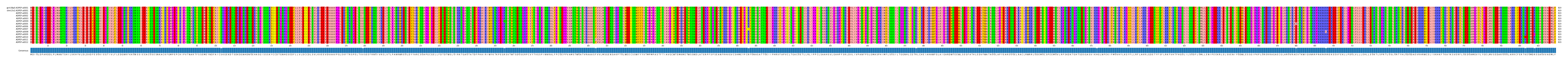 Multiple Alignments (by translate haplotype frequency)