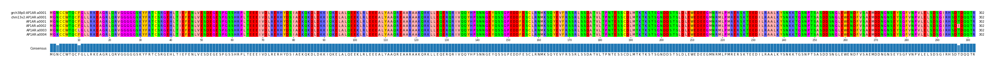 Multiple Alignments (by translate haplotype frequency)