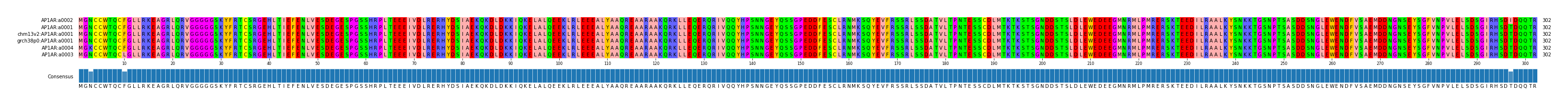 Multiple Alignments (by translate haplotype similarity)