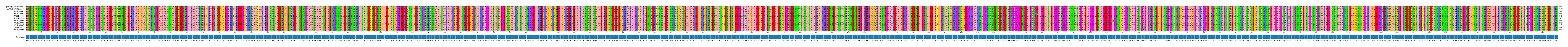 Multiple Alignments (by translate haplotype frequency)