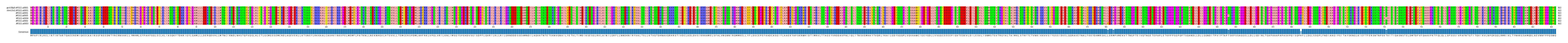 Multiple Alignments (by translate haplotype similarity)