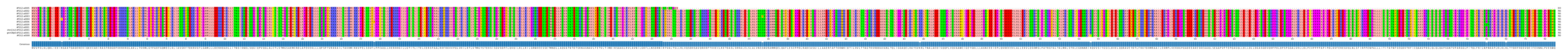 Multiple Alignments (by translate haplotype similarity)