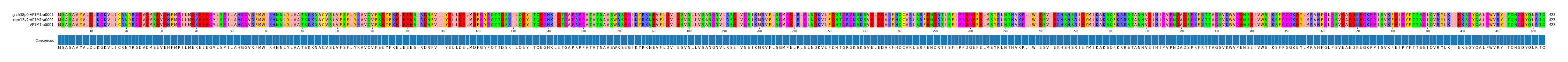 Multiple Alignments (by translate haplotype similarity)
