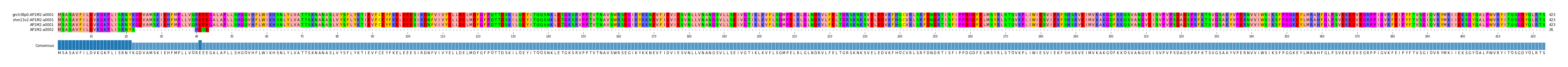 Multiple Alignments (by translate haplotype similarity)
