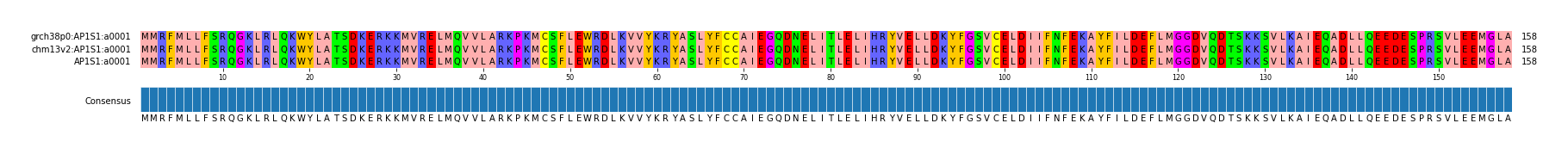 Multiple Alignments (by translate haplotype similarity)