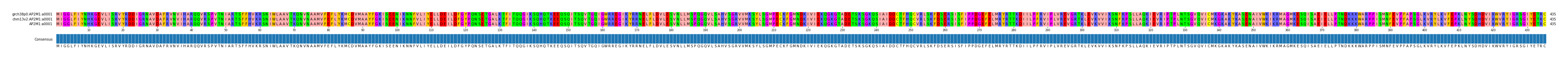 Multiple Alignments (by translate haplotype similarity)