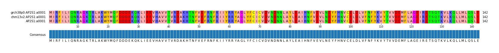 Multiple Alignments (by translate haplotype similarity)
