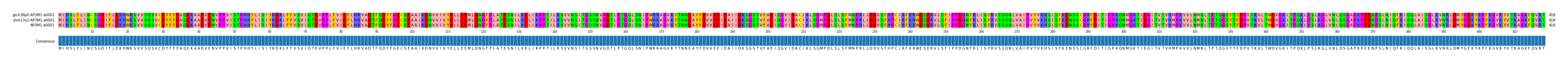 Multiple Alignments (by translate haplotype similarity)
