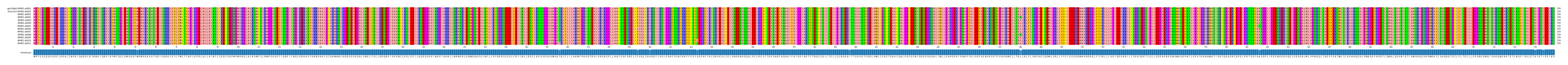 Multiple Alignments (by translate haplotype frequency)