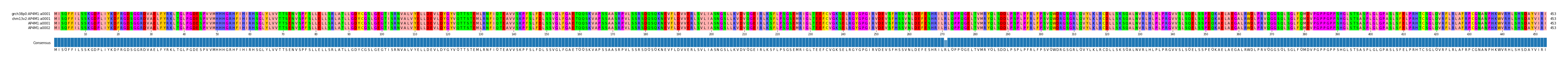 Multiple Alignments (by translate haplotype similarity)
