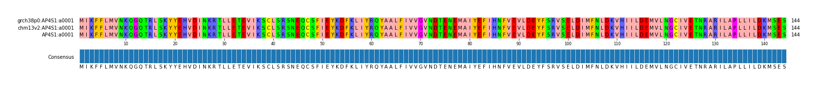 Multiple Alignments (by translate haplotype similarity)