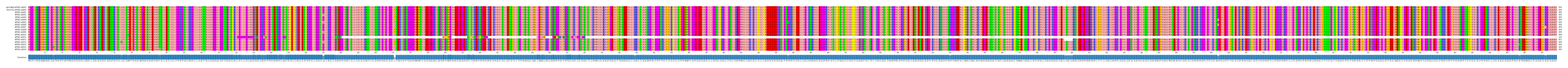 Multiple Alignments (by translate haplotype frequency)