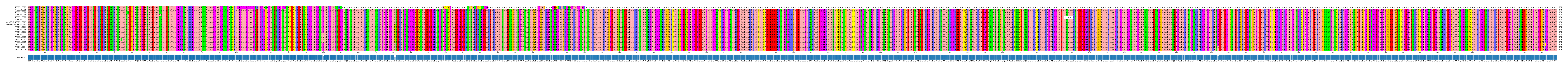 Multiple Alignments (by translate haplotype similarity)