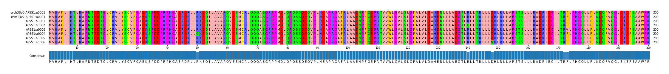Multiple Alignments (by translate haplotype frequency)