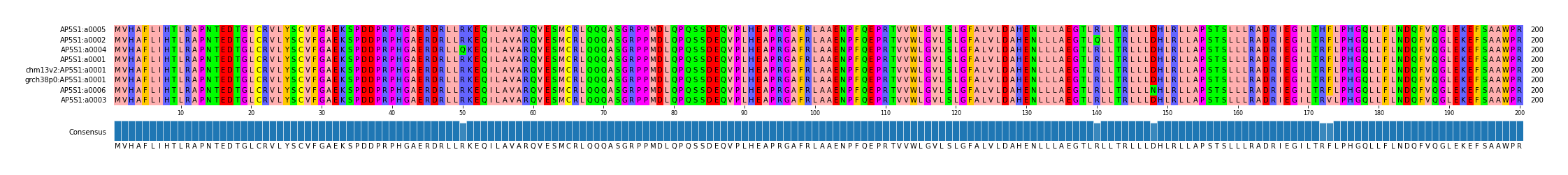 Multiple Alignments (by translate haplotype similarity)