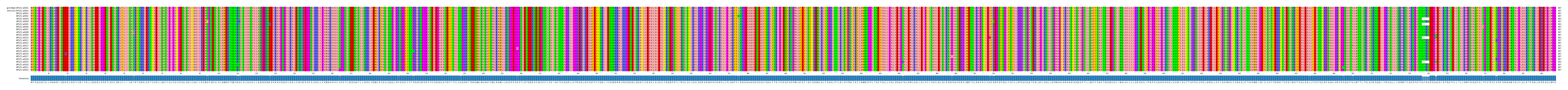 Multiple Alignments (by translate haplotype frequency)