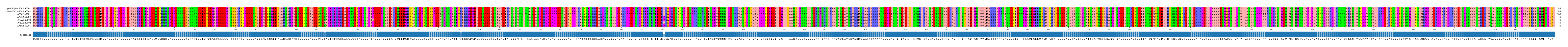 Multiple Alignments (by translate haplotype frequency)