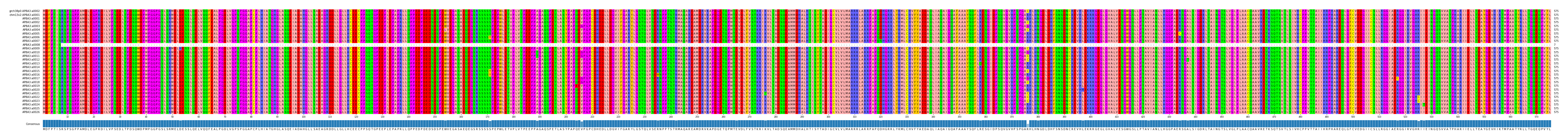 Multiple Alignments (by translate haplotype frequency)