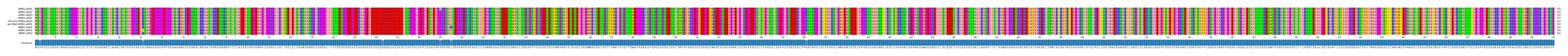 Multiple Alignments (by translate haplotype similarity)