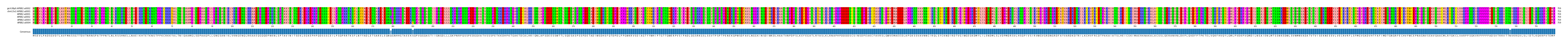 Multiple Alignments (by translate haplotype frequency)