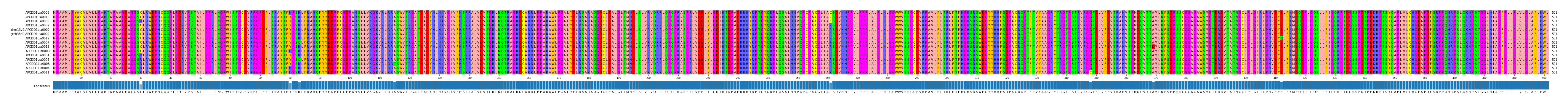 Multiple Alignments (by translate haplotype similarity)
