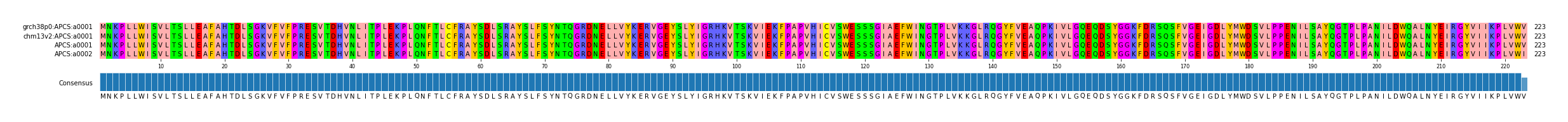 Multiple Alignments (by translate haplotype similarity)