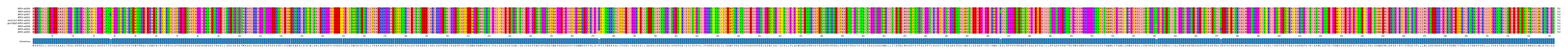 Multiple Alignments (by translate haplotype similarity)