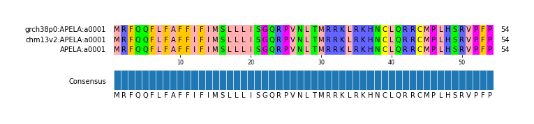 Multiple Alignments (by translate haplotype similarity)
