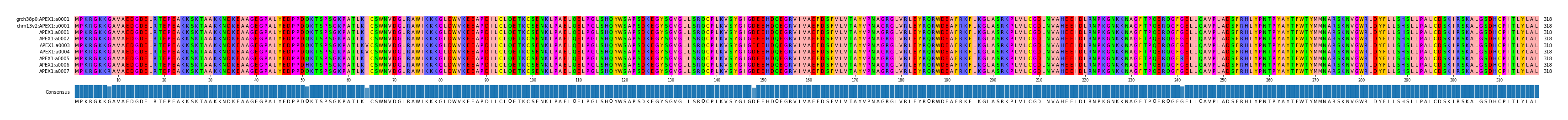 Multiple Alignments (by translate haplotype frequency)