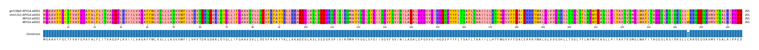 Multiple Alignments (by translate haplotype similarity)