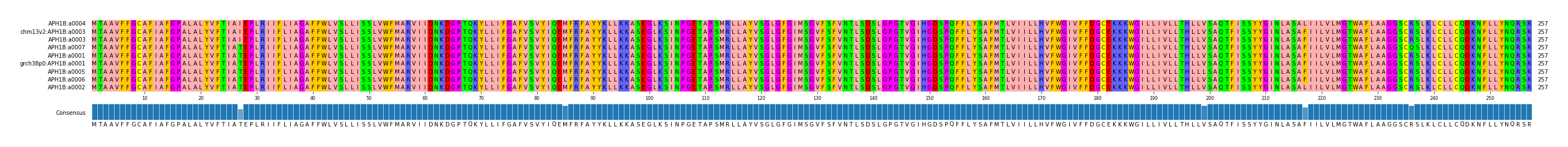 Multiple Alignments (by translate haplotype similarity)