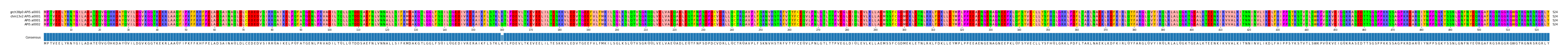 Multiple Alignments (by translate haplotype similarity)