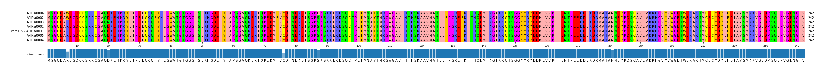 Multiple Alignments (by translate haplotype similarity)