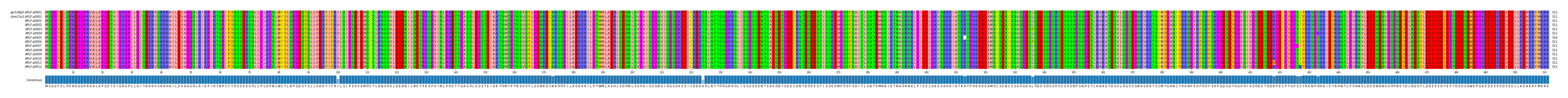 Multiple Alignments (by translate haplotype frequency)