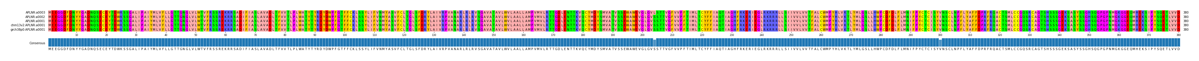 Multiple Alignments (by translate haplotype similarity)