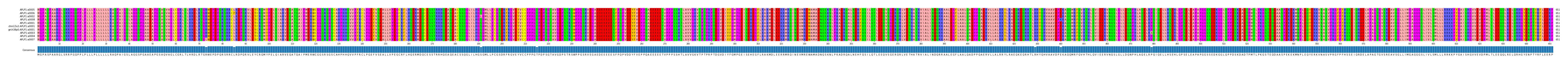Multiple Alignments (by translate haplotype similarity)