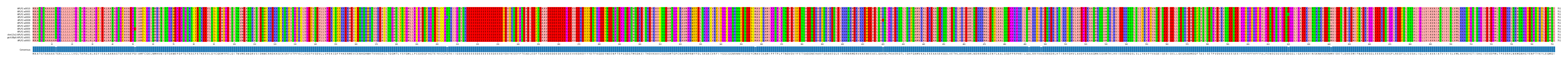 Multiple Alignments (by translate haplotype similarity)