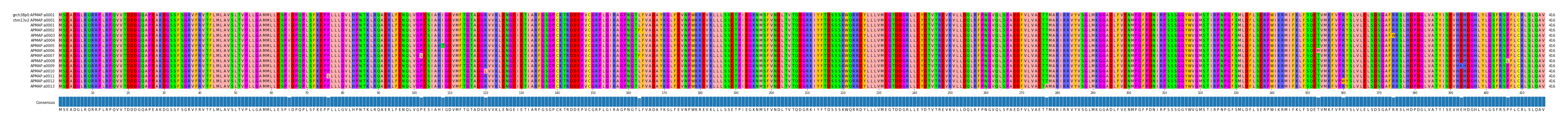 Multiple Alignments (by translate haplotype frequency)