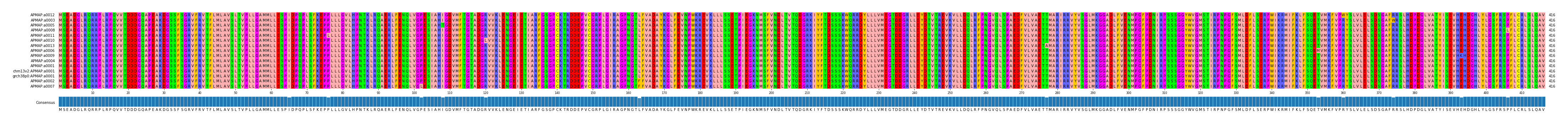 Multiple Alignments (by translate haplotype similarity)