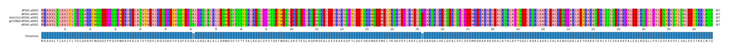 Multiple Alignments (by translate haplotype similarity)