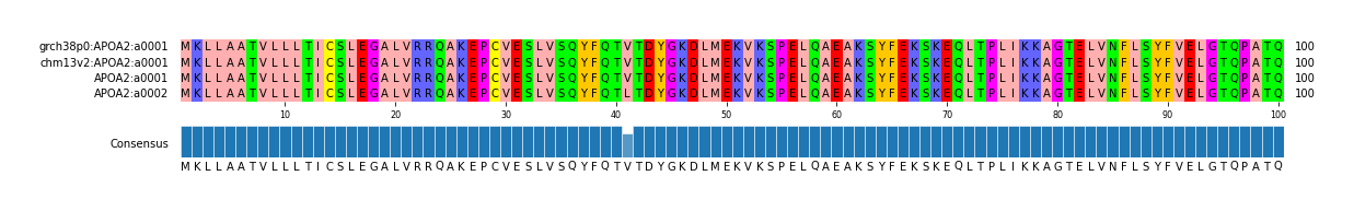 Multiple Alignments (by translate haplotype similarity)