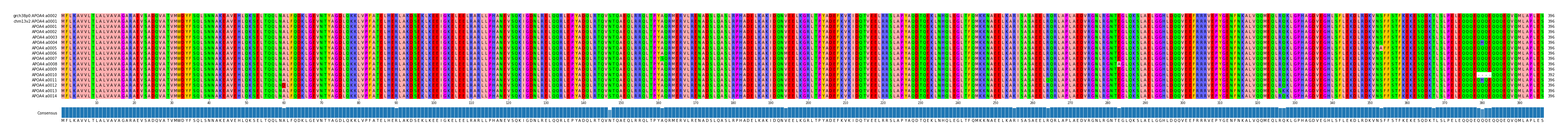 Multiple Alignments (by translate haplotype frequency)
