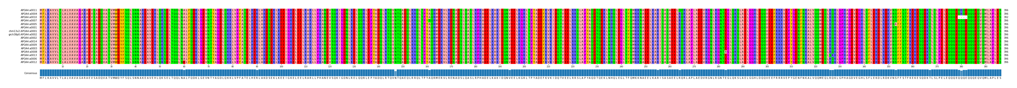 Multiple Alignments (by translate haplotype similarity)