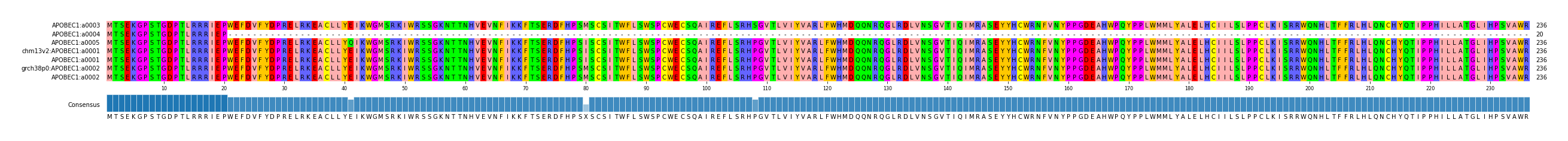 Multiple Alignments (by translate haplotype similarity)