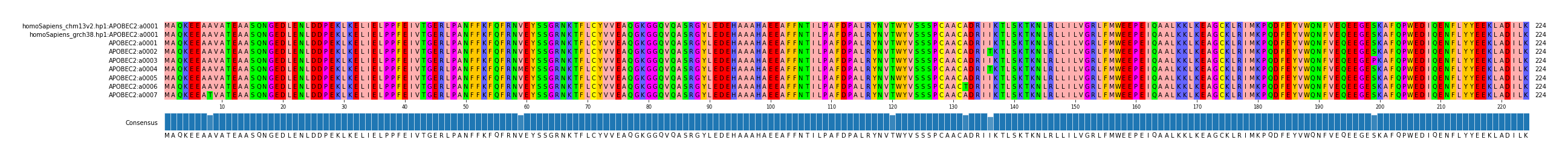 Multiple Alignments (by translate haplotype frequency)