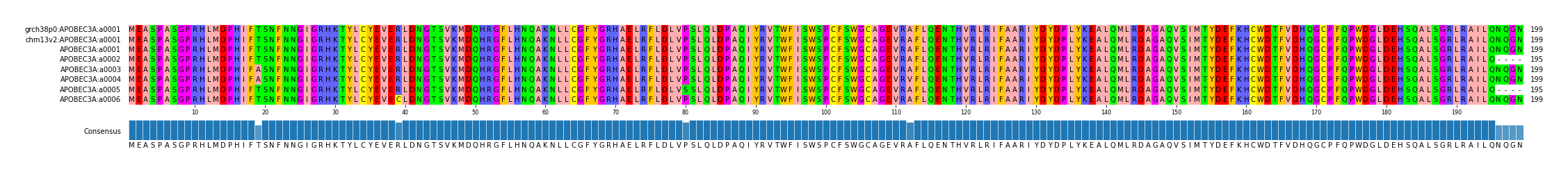 Multiple Alignments (by translate haplotype frequency)
