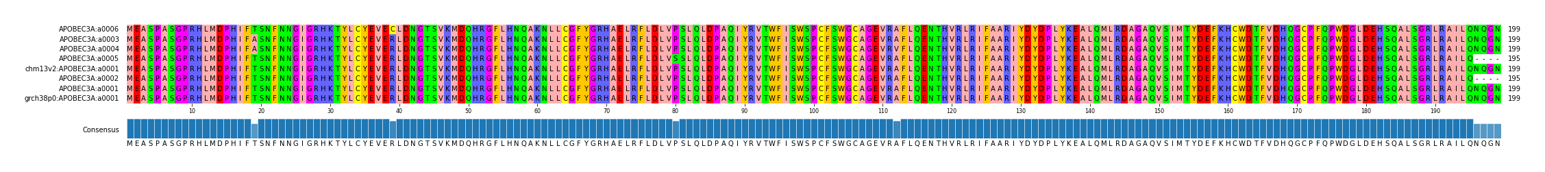 Multiple Alignments (by translate haplotype similarity)